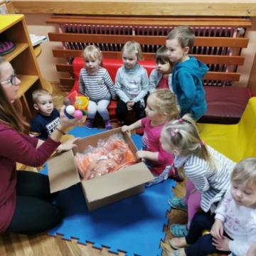 IMG_20210126_085956 (Medium)